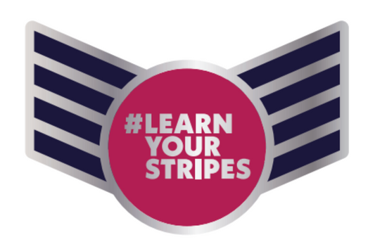 Pin Badge - #LearnYourStripes
