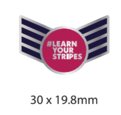 Pin Badge - #LearnYourStripes